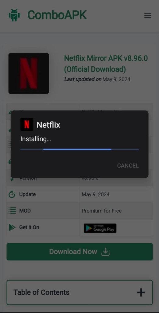 Netflix Mirror APk Installed