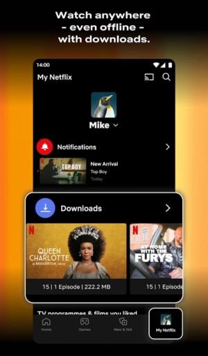 Netflix Mirror Apk Offline Vedios