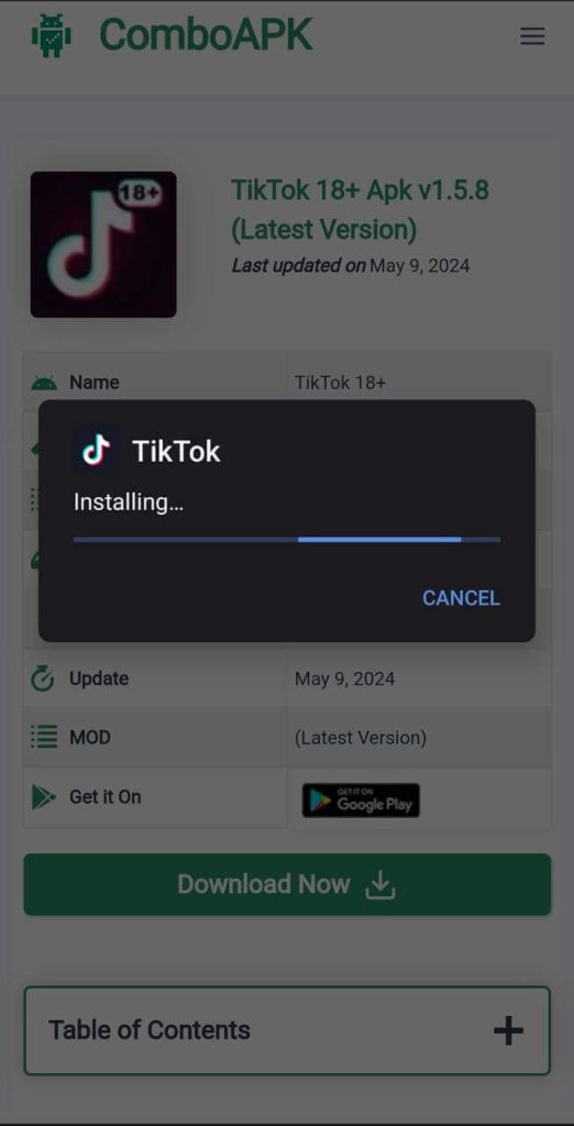 TikTok 18+ APk Installed