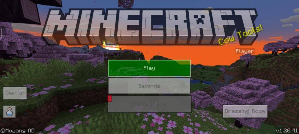 Minecraft Mod Apk Play