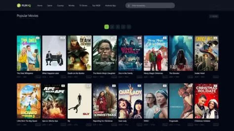 FlixHQ-APK-v6.4.3-Newest-Films